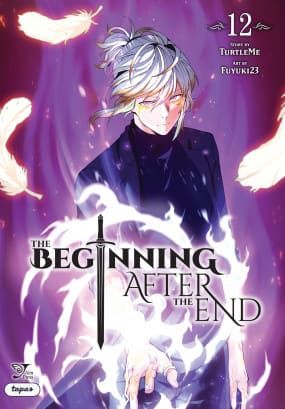 The Beginning After the End volume 12 cover